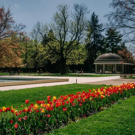Slunce Podebrady